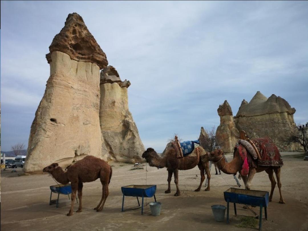 Sandik Cave Suites Nevşehir Exterior foto